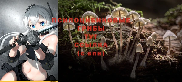 молекула духа Кукмор