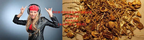 молекула духа Кукмор