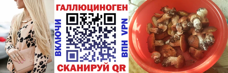 купить  сайты  Сосновоборск  это наркотические препараты  Псилоцибиновые грибы ЛСД 