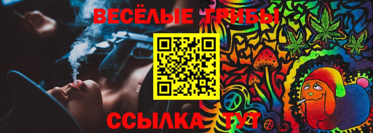 Псилоцибиновые грибы Psilocybe  что такое   Сосновоборск 